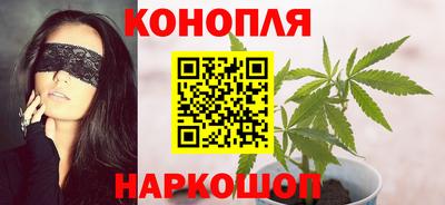 стафф Камышлов