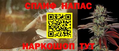 СК Тавда