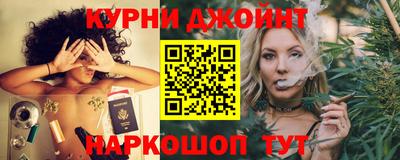 стафф Камышлов