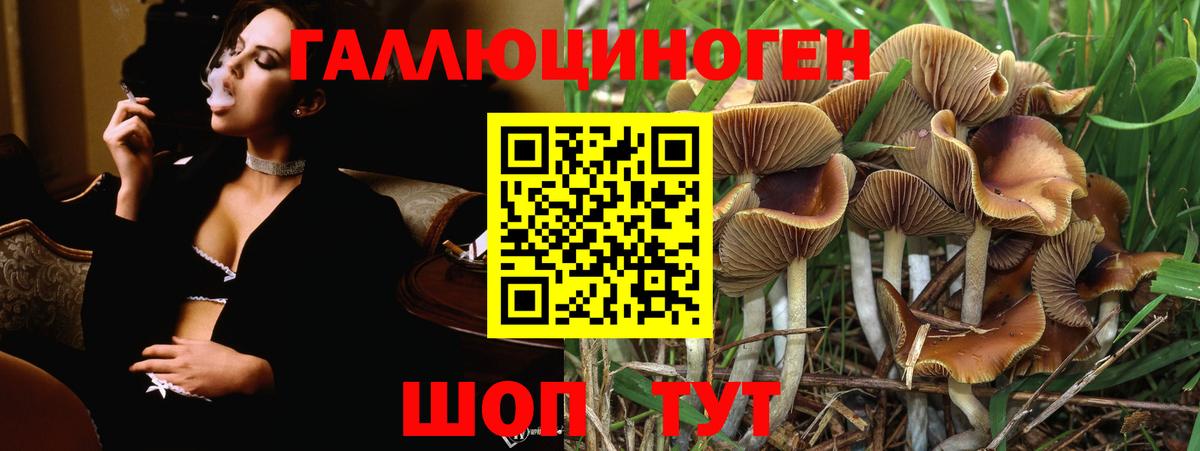 Галлюциногенные грибы Psilocybine cubensis  Вход с VPN  Крымск 